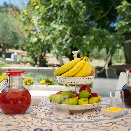 Casa Scinella - Cilento Guest house Ogliastro Cilento